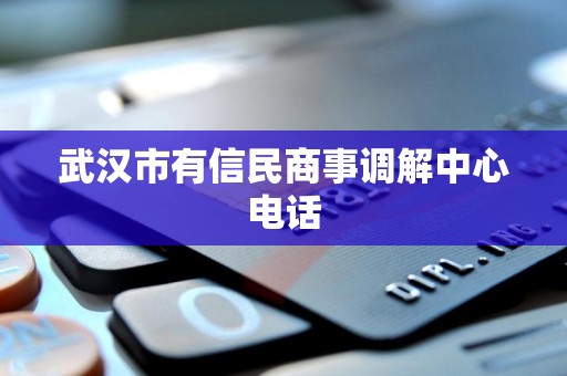 了解武汉市有信民商事调解中心及其个人信用修复服务